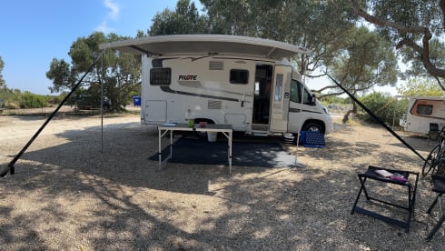 2p Pilote integrated from 2019