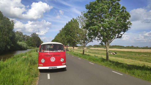 Rode Roos – Unique experience with Red Rose!