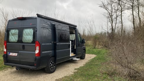 Suzy – 4p Fiat bus from 2020