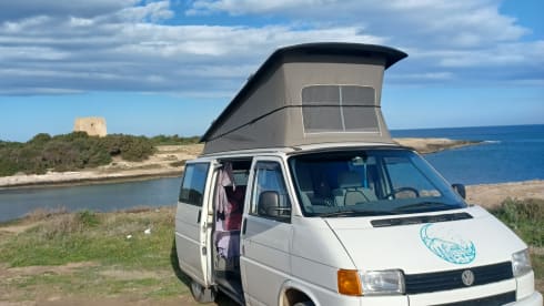 Calì  – Salento in a T4 California Coach van