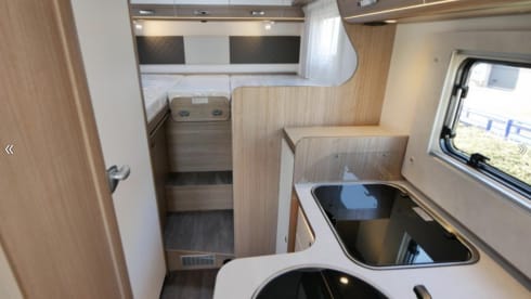 Evert – Carado I338 (Capron Hymer Group)