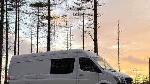 Erl – 4 berth Mercedes-Benz bus from 2013