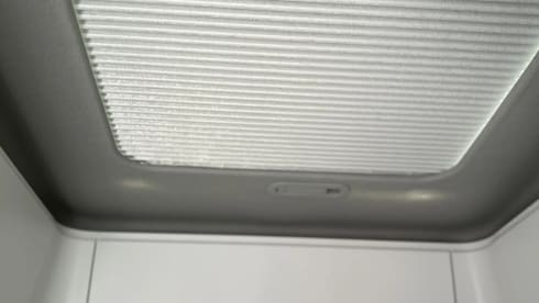 Pablo – Grenzenlose Freiheit!