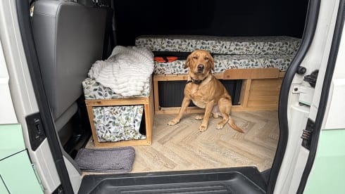 Pepper – 2 berth Volkswagen campervan from 2008