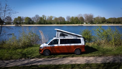 Bertus – 4p Volkswagen campervan from 2018