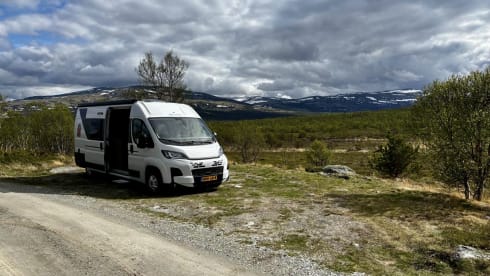Buscamper – Sun Living V65 SL BUSCAMPER (2025) 3-seater
