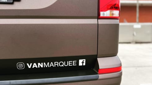 CALI Brown Grey – Volkswagen California COAST Brown/AscotGrey (2021)