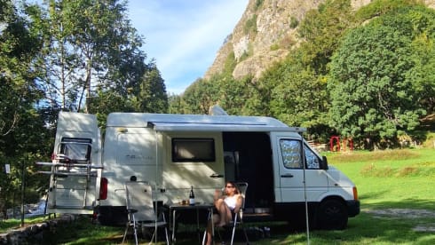 Vino – Vino de Van 3p Volkswagen campervan