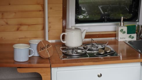 Sky – 2p Ford bus uit 2005