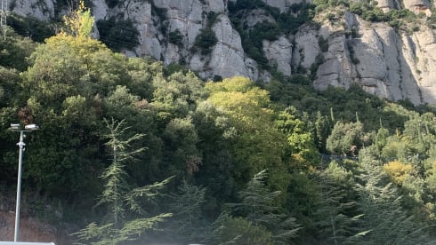 Ideal family campsite