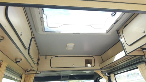 Lady – Comfortable, cheerfully pimpered, light Safari bus camper