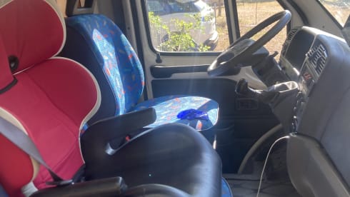 Giorgio Menozzi – Prof.