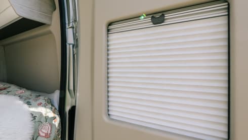 Jackie's hut – Beautiful Peugot Camperbus, 150 HP