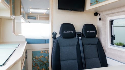 Bloesem – 4p Fiat bus uit 2022