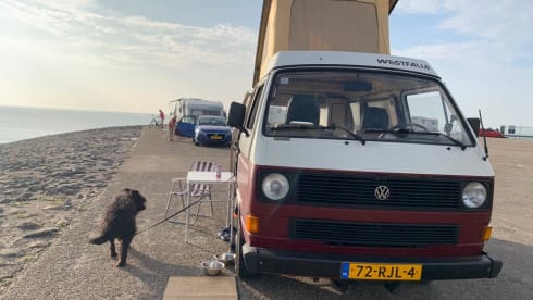 VW T3 Westfalia bus from 1983
