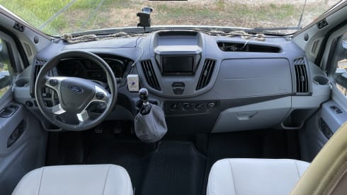 4p Roller Team semi-integrated from 2018