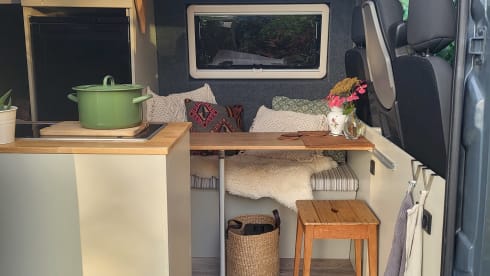Cool, cozy 3p Renault Master campervan from 2017