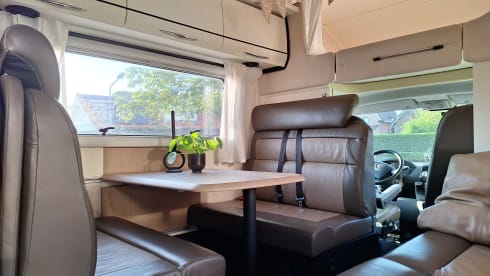 Bear on the road – 7p Bürstner alcove from 2011