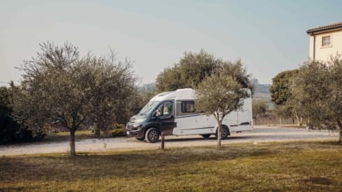 Betsy – 2p Carado from 2024 - Semi-integrated 