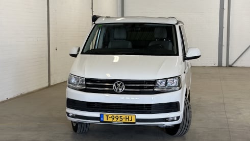 Cali  – Volkswagen California T6 (Factory Camper, original)
