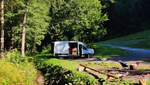 ons busje – 2p Ford bus uit 2015