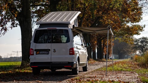 Volkswagen T5/6 5 person camper for rent