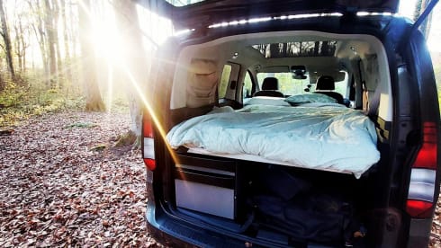 Dolo  – Volkswagen Cady California 