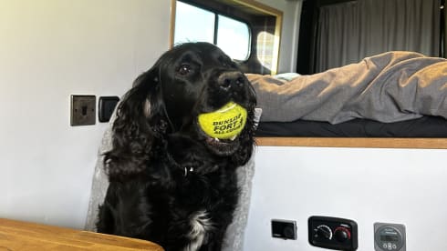 Yoda – 2 berth Volkswagen 