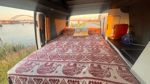 Maak kennis met Adam – Moderne en complete 4-persoons VW T6 | Euro 6 (rijklaar)