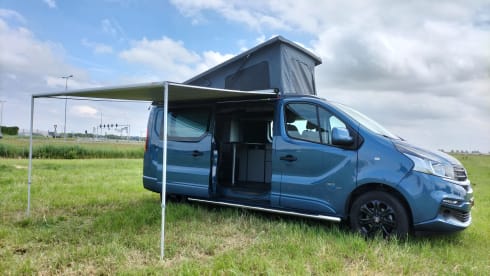 Fiat Talento bus camper