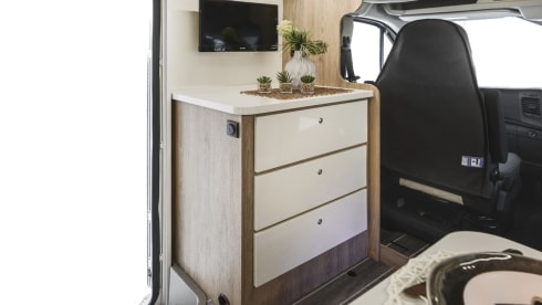 Coral – 6 Berth Roller Team From 2023