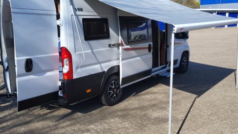 Rapido – 3p Fiat bus from 2020