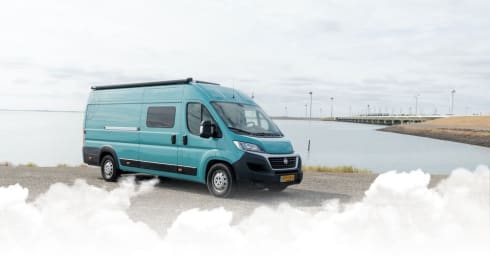 Bloesem – 4p Fiat bus uit 2022