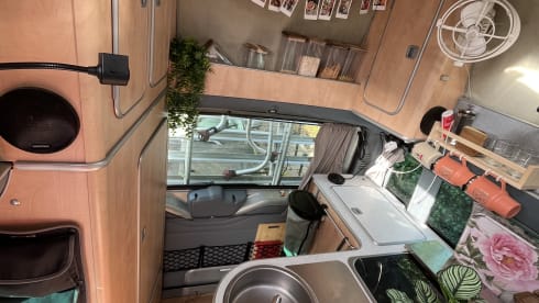 Lonnie – 4-seater Ford bus from 2026
