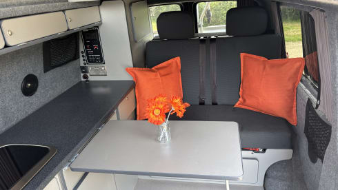 Tigger – Tigger - Camping-car Volkswagen 4 places LWB de 2017