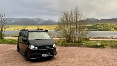 Anakin – Volkswagen Campervan met 4 slaapplaatsen - Hondvriendelijk 
