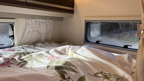 Harold – 6p Rimor seal 5 alcove uit 2025