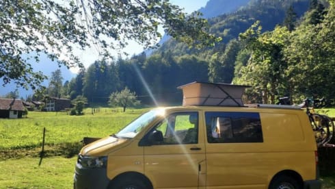 Ons Busje – 2p Volkswagen bus uit 2010