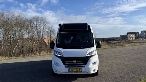 Chausson – 2p Fiat bus from 2019