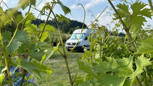 Volkswagen gezinscamper (volledig uitgerust) – 4-seater Volkswagen bus from 2016