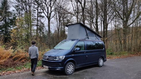 Well-equipped Volkswagen California for rent