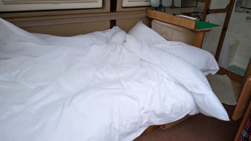 The master – 2 berth IH Oregon Renault master