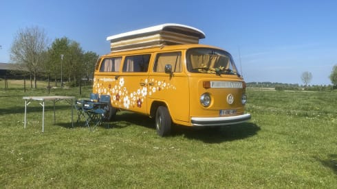 DEVON – rent an original hippie bus from 1976!