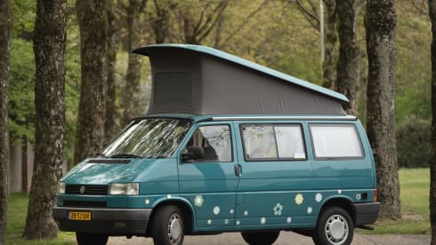 Happy - Cozy and robust VW T4 California with sleeping roof