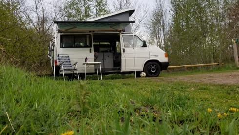 white house! Go on an unforgettable road trip with this T4 Westfalia!