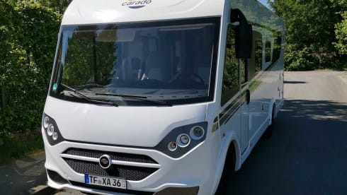 Sven – Carado i447