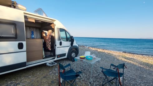 Swan – Nuovo Bravia 636 Swan