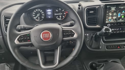 I 447 – 4p Carado integrated from 2025