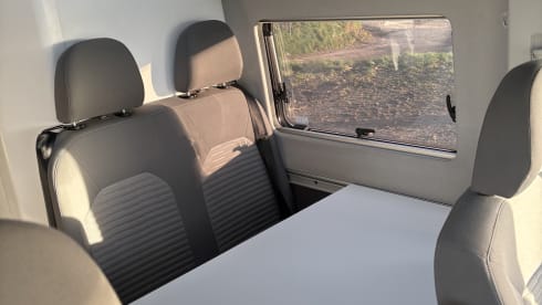 Grote beer – 4p Volkswagen campervan from 2022