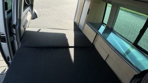 bear hunter – 4p Volkswagen California T5 bus 